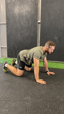 Catcamel GIF by Crossfit Boran