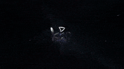Kap GIF by Kap.formaturas