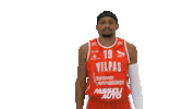 Sport Basketball Sticker by Basket_fi