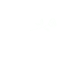 sorry i love you Sticker by Vacation Forever