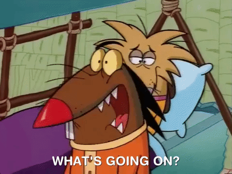 nickrewind giphydvr nicksplat angry beavers giphyab013 GIF