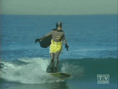 giphy.gif