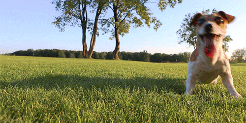GIF by AT&T