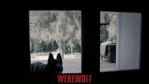 Horror Film Thriller GIF by Indiecan Entertainment Inc.