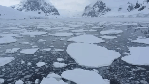 ice boat GIF