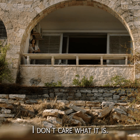 I Don't Care What It Is