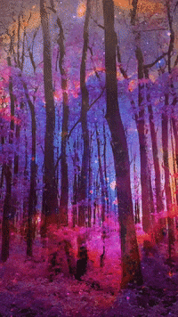 misvincent art trippy psychedelic meditate GIF