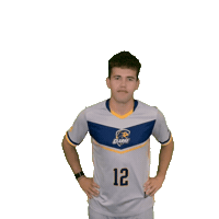 Clarke Mens Soccer Sticker by Clarke University
