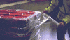 Palibex transporte pale logistica camión GIF