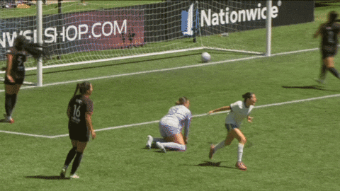 Goalcelebration Seattlereign GIF by National Women's Soccer League