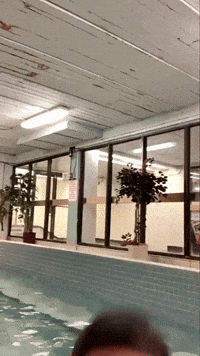 Funny Man Pool GIF by Matkai
