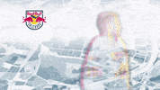 Ice Hockey GIF by EC Red Bull Salzburg