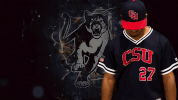 GIF by Columbus State University Athletics
