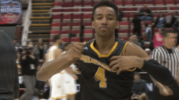 mkepanthers GIF by Kayla Schaffer