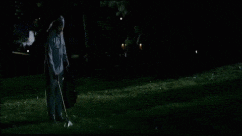 night park GIF