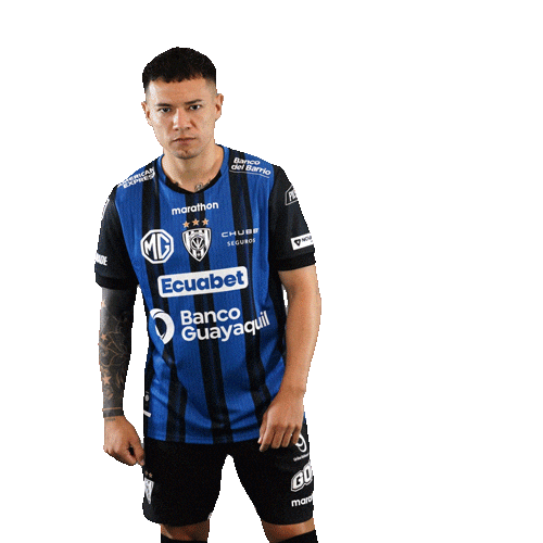 Dance Futbol Sticker by INDEPENDIENTE DEL VALLE