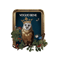 Forest Owl Sticker