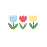 notienatsu flower plant flora tulip Sticker