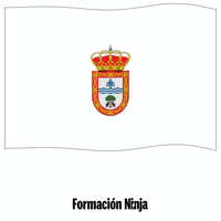 Flag Spain GIF by Formación Ninja