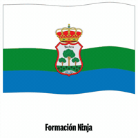 Castilla Y Leon Flag GIF by Formación Ninja
