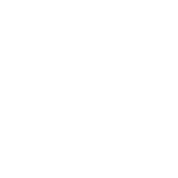 Bear Sticker