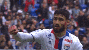 goal lyon GIF by Olympique Lyonnais