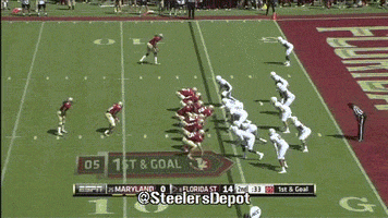 kelvin benjamin steelers GIF