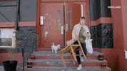 dog moving GIF by HOLLYWOOD LOVE STORY