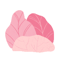 Pink Illustration Sticker by Molli Maura