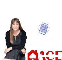 Realtor Realestate Sticker by ACE Realty Inc.