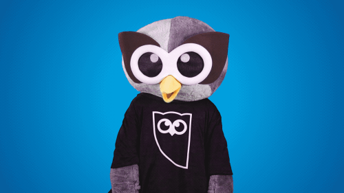 celebration GIF by Hootsuite
