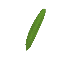 Plant Kitchen Sticker