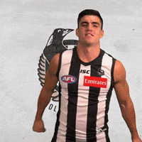 pies magpies GIF by CollingwoodFC