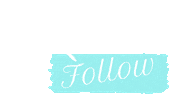 Follow Mint Sticker by Beauty Rotterdam
