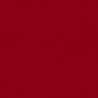 Go Cards GIF by Louisville Cardinals