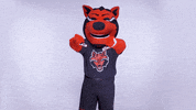 Red Wolves Asu GIF by Arkansas State University