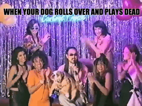 Ultra Music Dogs GIF by Ultra Records