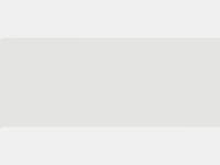 Chicken Nuggets Party Hard GIF by Asim Das