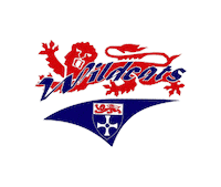 Ice Hockey Sticker by nclwildcatsbuiha