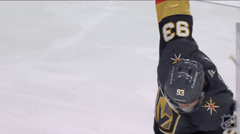 Happy Vegas Golden Knights GIF by NHL