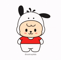 Stray Kids Skz GIF