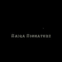 saiqasignature saiqasignature saiqa signature GIF