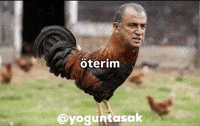 Fatih Terim GIF