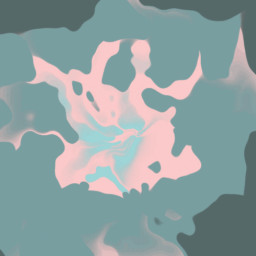GIF by Borrachas