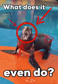 What Does It Who Is This GIF