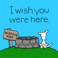 chippythedog love i love you i miss you chippythedog GIF