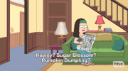 Stan Hayley GIF by American Dad