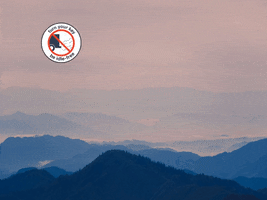 You Can Love GIF by FranchiseONE.de
