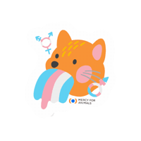Pridemfa Sticker by MFA Brasil