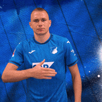 Sport Logo GIF by TSG Hoffenheim
